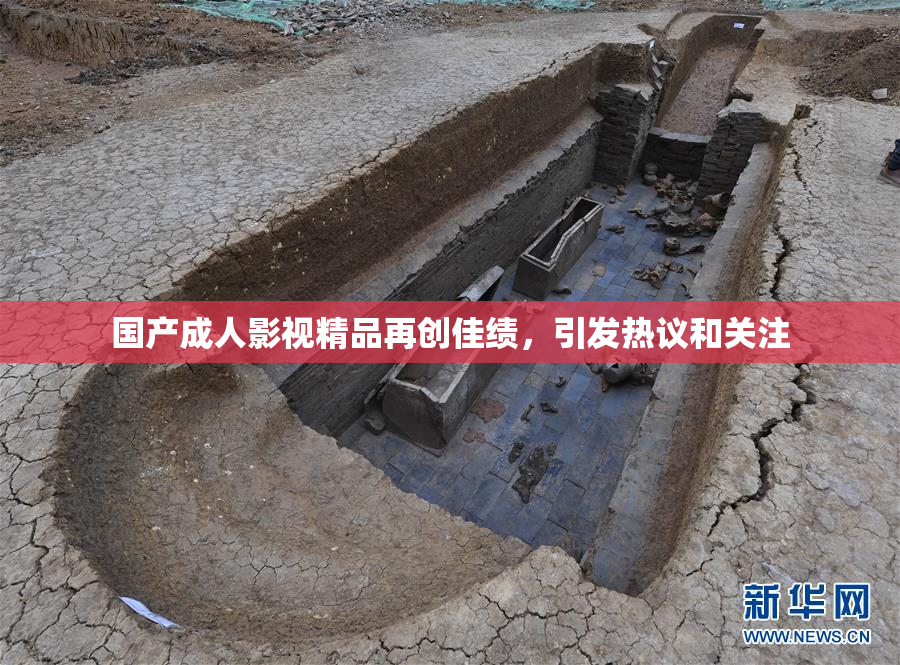 国产成人影视精品再创佳绩，引发热议和关注