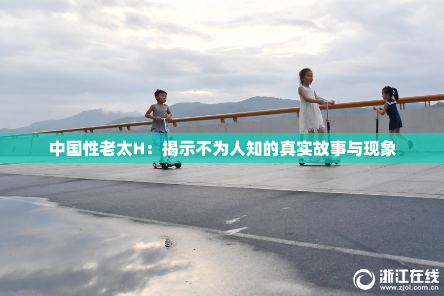 中国性老太H：揭示不为人知的真实故事与现象