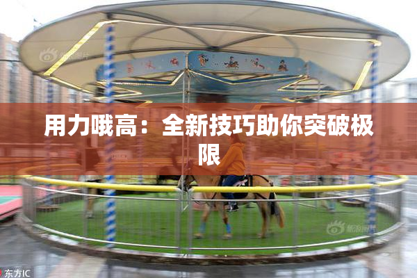 用力哦高：全新技巧助你突破极限