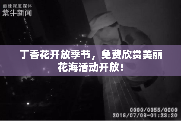丁香花开放季节，免费欣赏美丽花海活动开放！