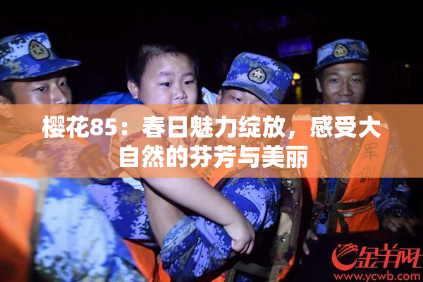 樱花85：春日魅力绽放，感受大自然的芬芳与美丽