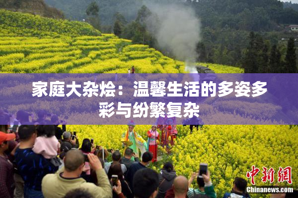 家庭大杂烩：温馨生活的多姿多彩与纷繁复杂
