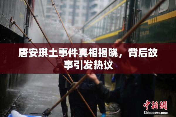 唐安琪土事件真相揭晓，背后故事引发热议