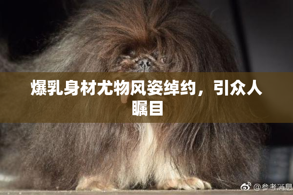 爆乳身材尤物风姿绰约，引众人瞩目