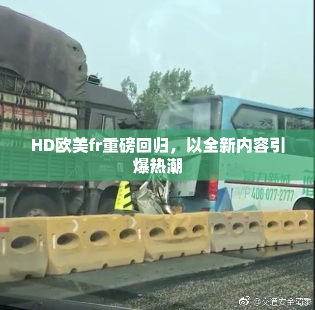 HD欧美fr重磅回归，以全新内容引爆热潮