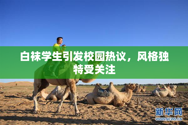 白袜学生引发校园热议，风格独特受关注