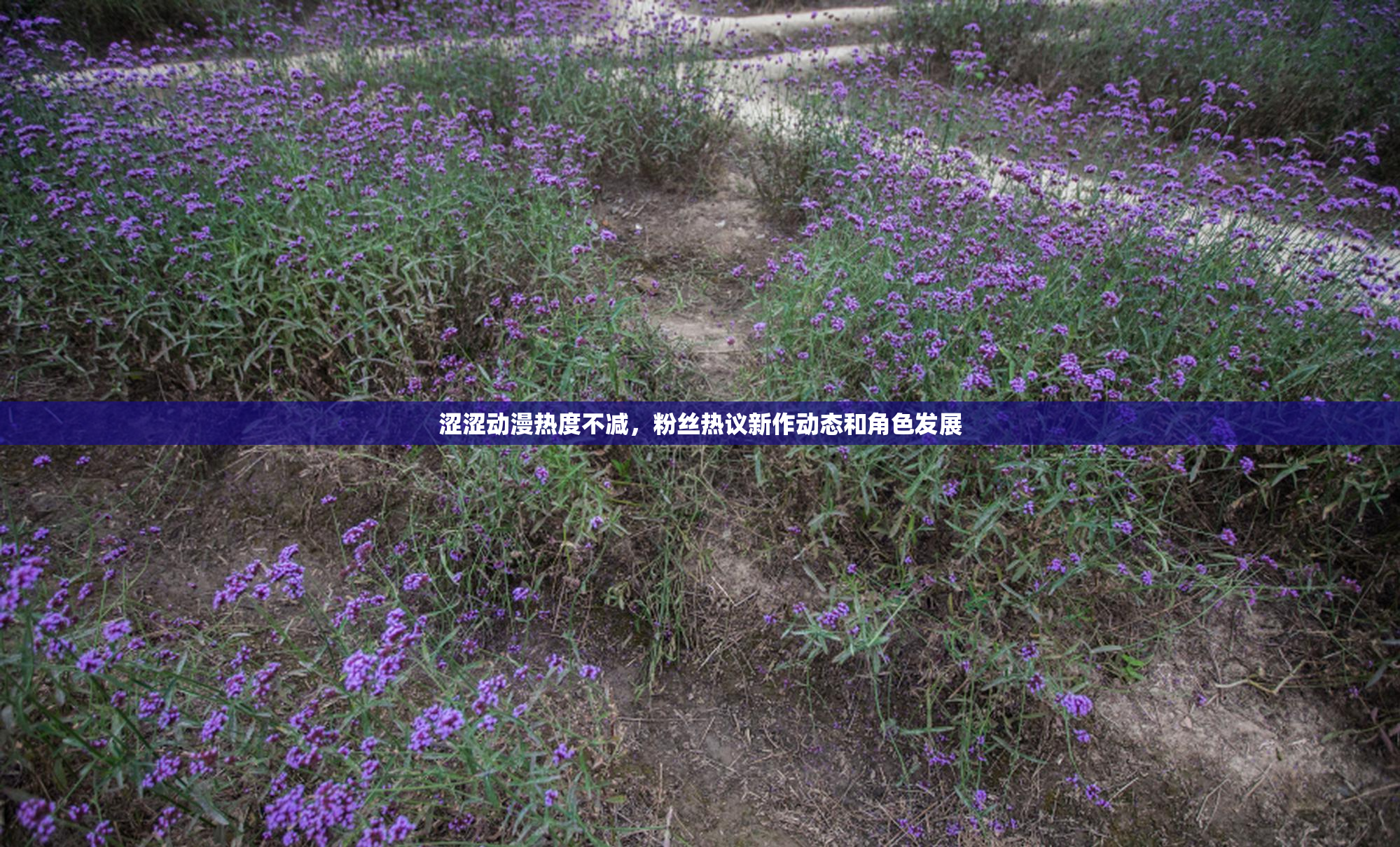 涩涩动漫热度不减，粉丝热议新作动态和角色发展