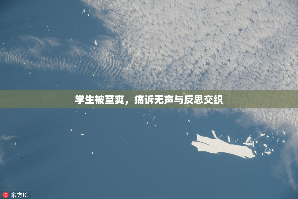 学生被至爽，痛诉无声与反思交织