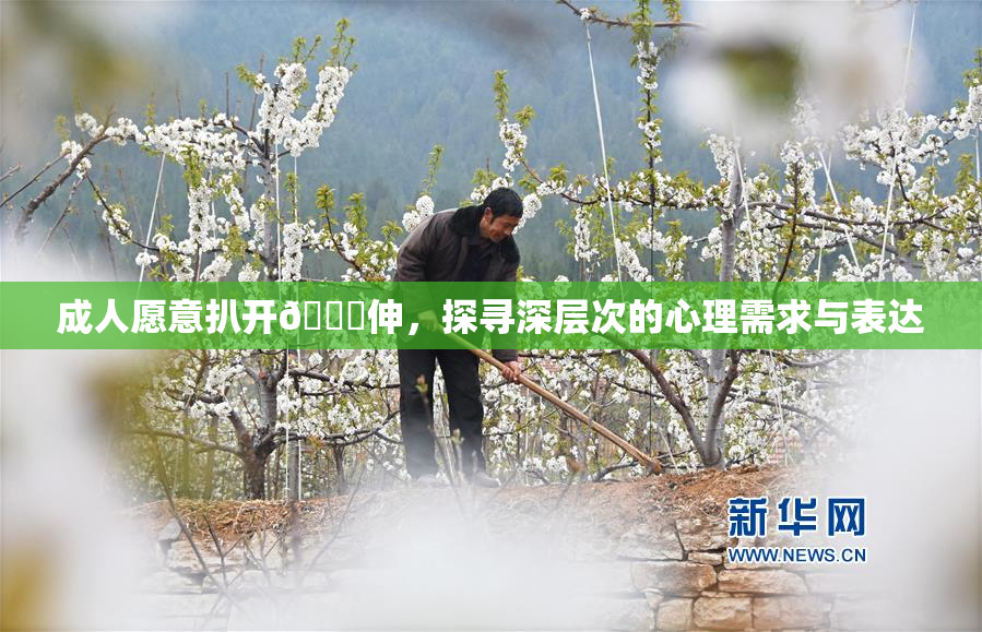 成人愿意扒开🍑伸，探寻深层次的心理需求与表达