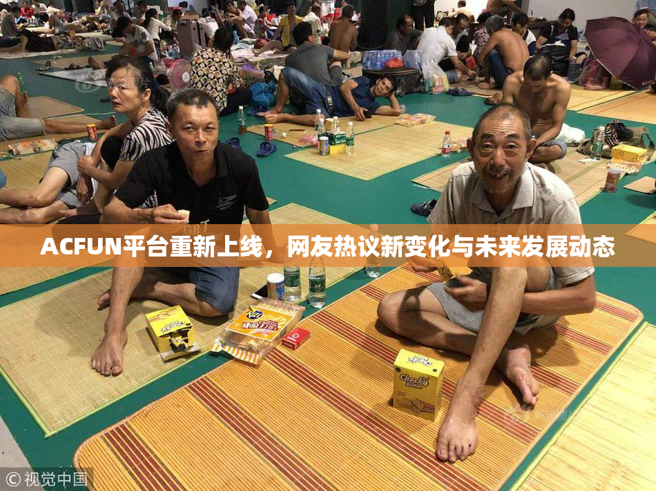 ACFUN平台重新上线，网友热议新变化与未来发展动态