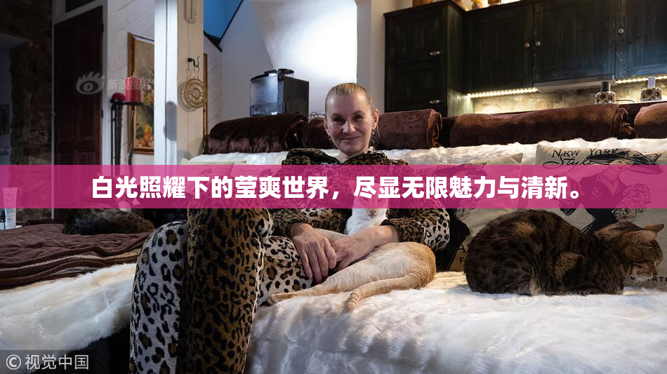 白光照耀下的莹爽世界，尽显无限魅力与清新。
