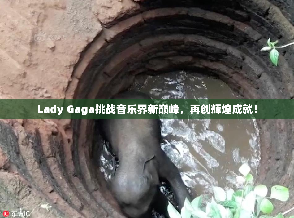 Lady Gaga挑战音乐界新巅峰，再创辉煌成就！