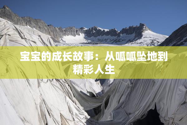 宝宝的成长故事：从呱呱坠地到精彩人生