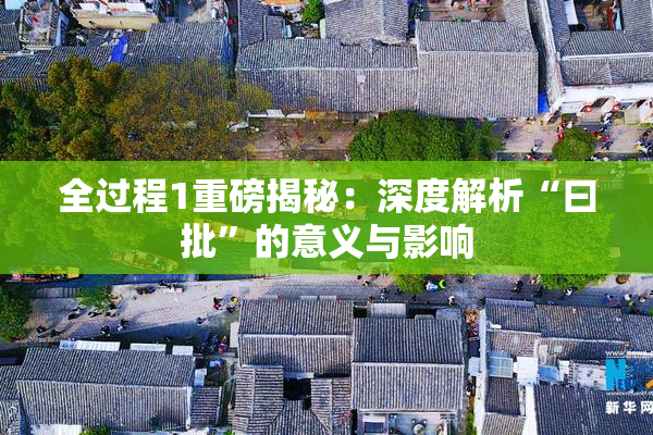 全过程1重磅揭秘：深度解析“曰批”的意义与影响