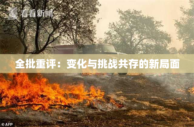 全批重评：变化与挑战共存的新局面