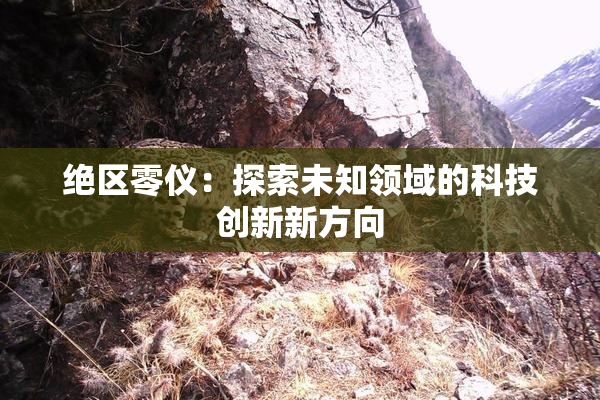 绝区零仪：探索未知领域的科技创新新方向
