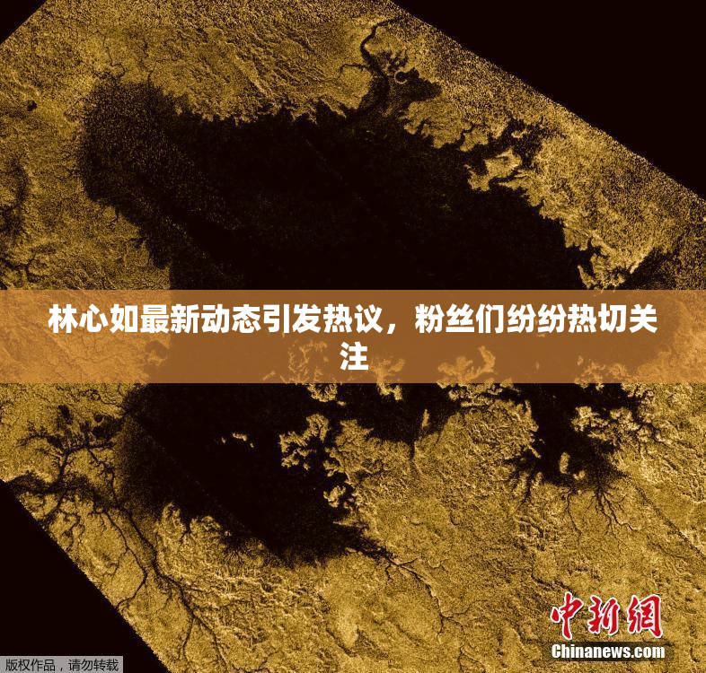 林心如最新动态引发热议，粉丝们纷纷热切关注