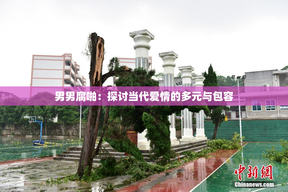 男男腐啪：探讨当代爱情的多元与包容