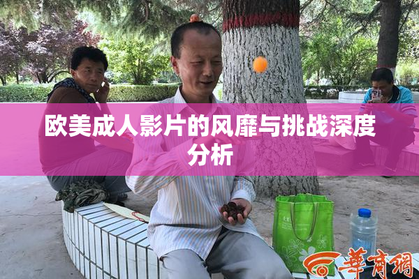 欧美成人影片的风靡与挑战深度分析