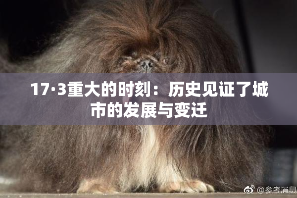17·3重大的时刻：历史见证了城市的发展与变迁