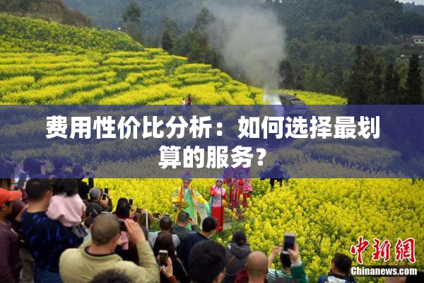 费用性价比分析：如何选择最划算的服务？