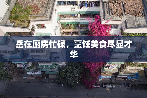 岳在厨房忙碌，烹饪美食尽显才华