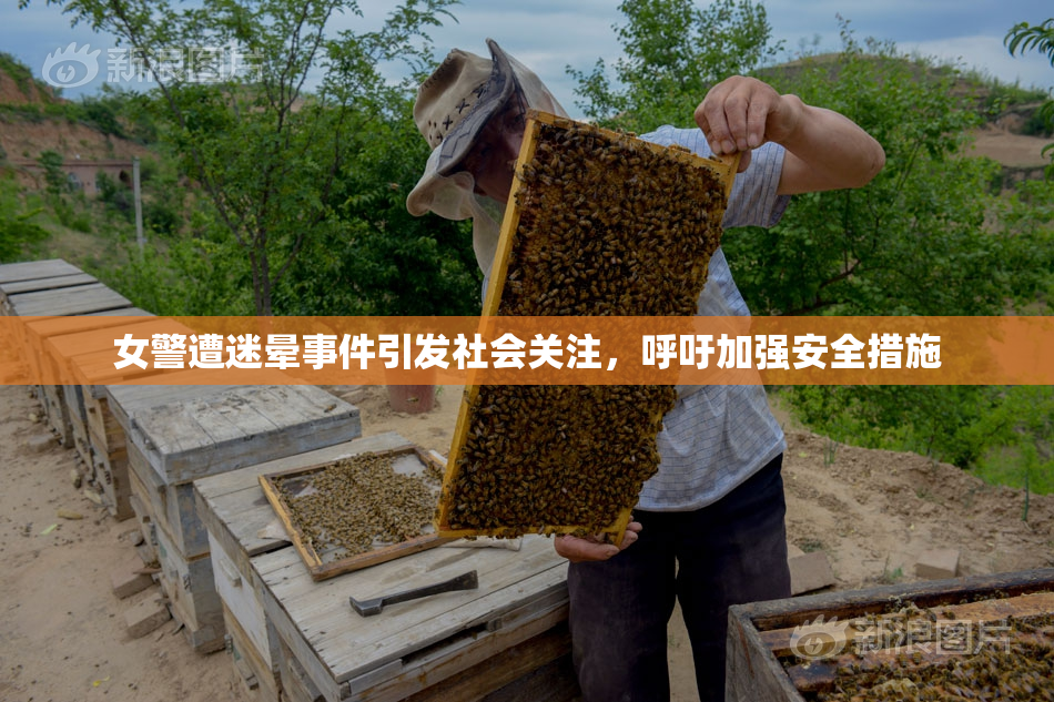 女警遭迷晕事件引发社会关注，呼吁加强安全措施