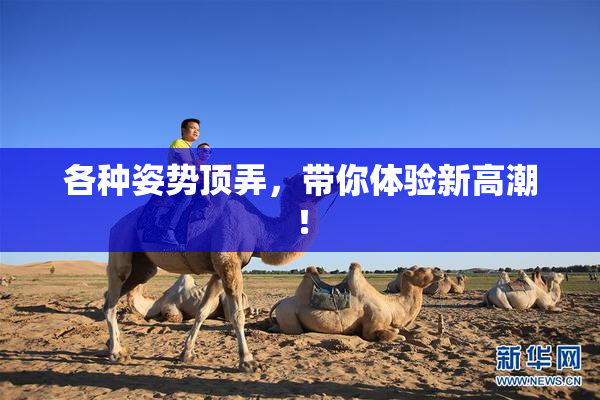 各种姿势顶弄，带你体验新高潮！