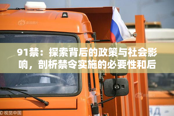 91禁：探索背后的政策与社会影响，剖析禁令实施的必要性和后果
