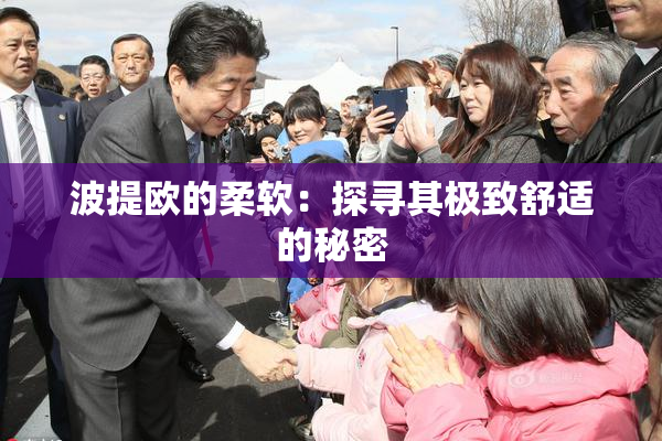 波提欧的柔软：探寻其极致舒适的秘密