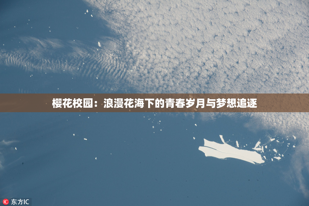 樱花校园：浪漫花海下的青春岁月与梦想追逐