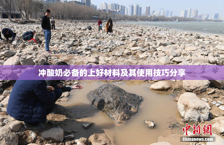 冲酸奶必备的上好材料及其使用技巧分享