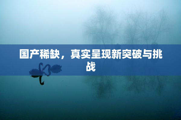 国产稀缺，真实呈现新突破与挑战