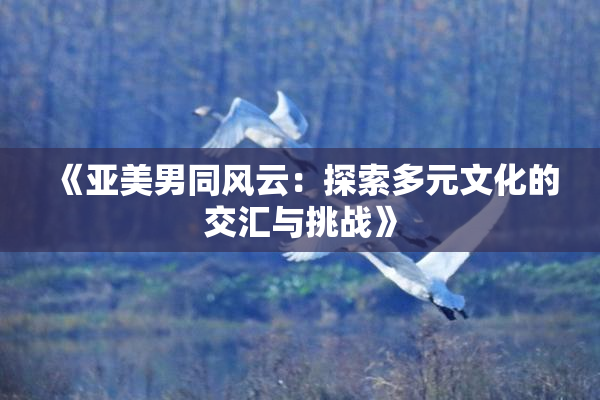 《亚美男同风云：探索多元文化的交汇与挑战》
