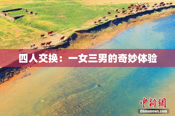 四人交换：一女三男的奇妙体验