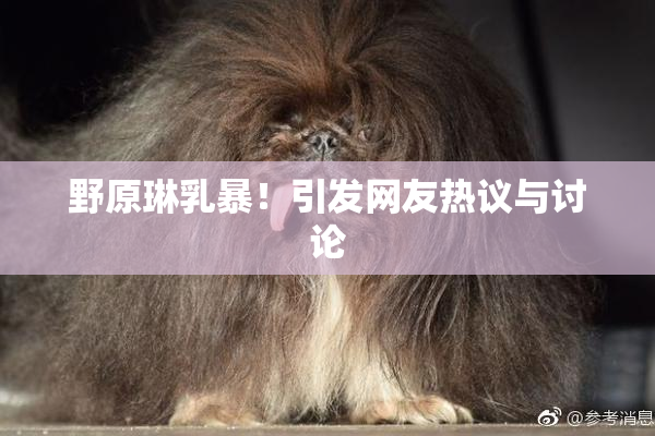 野原琳乳暴！引发网友热议与讨论