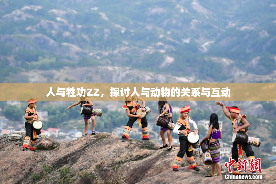 人与牲功ZZ，探讨人与动物的关系与互动