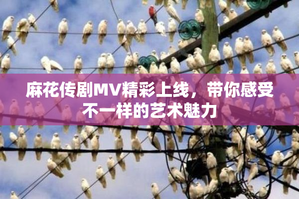 麻花传剧MV精彩上线，带你感受不一样的艺术魅力