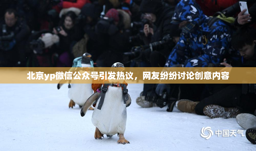 北京yp微信公众号引发热议，网友纷纷讨论创意内容