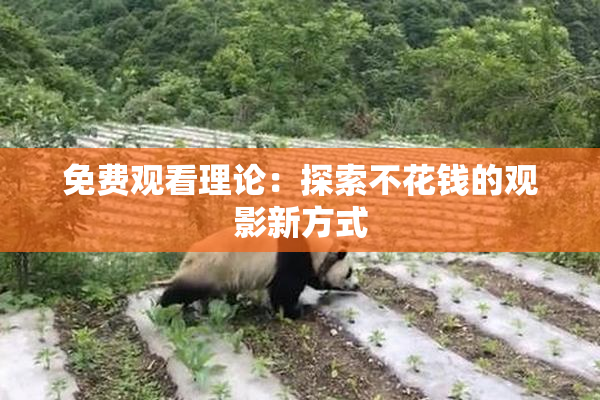 免费观看理论：探索不花钱的观影新方式