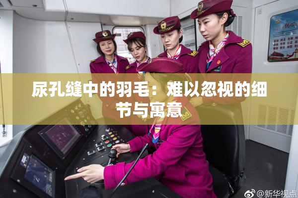 尿孔缝中的羽毛：难以忽视的细节与寓意