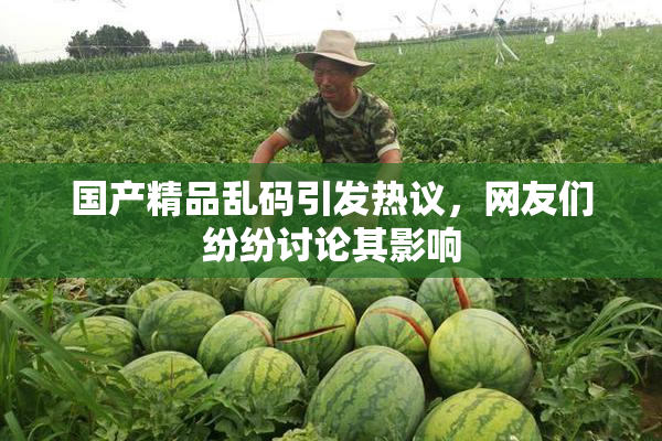 国产精品乱码引发热议，网友们纷纷讨论其影响