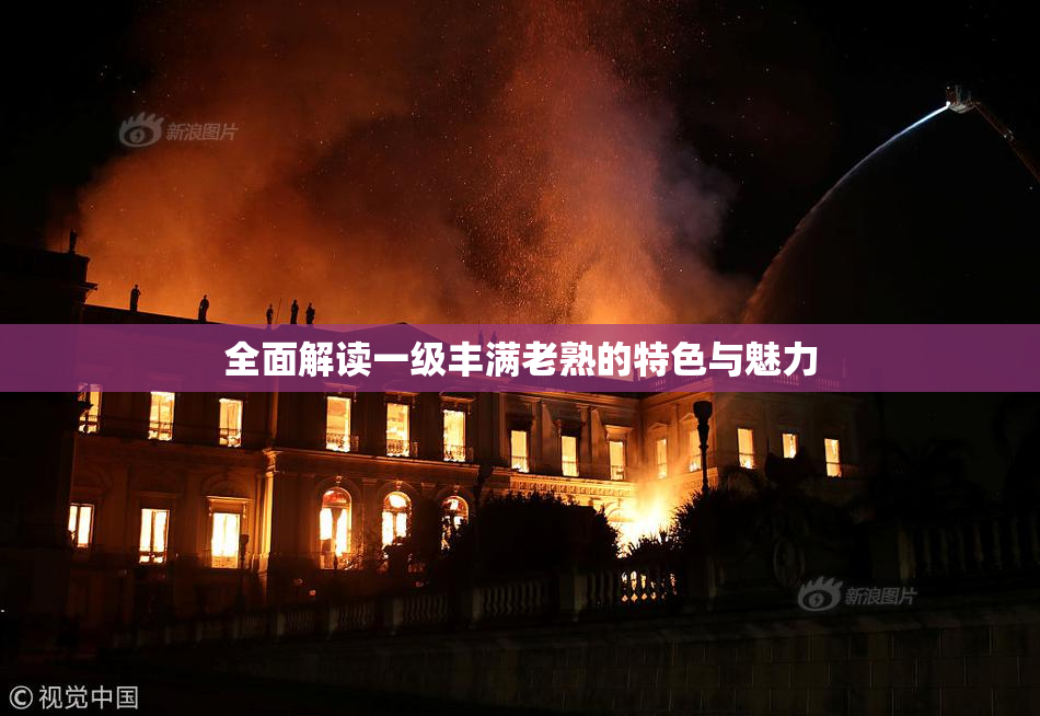 全面解读一级丰满老熟的特色与魅力