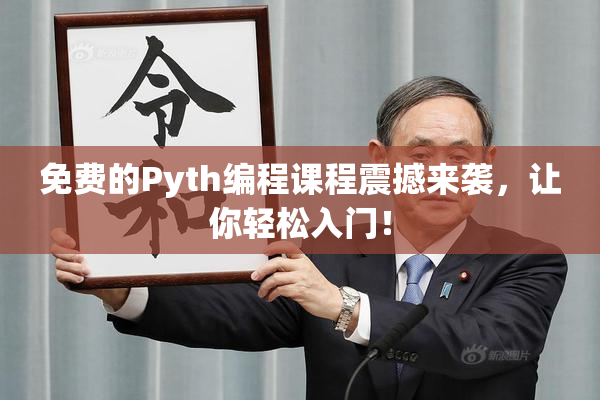 免费的Pyth编程课程震撼来袭，让你轻松入门！