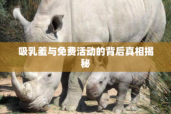 吸乳羞与免费活动的背后真相揭秘