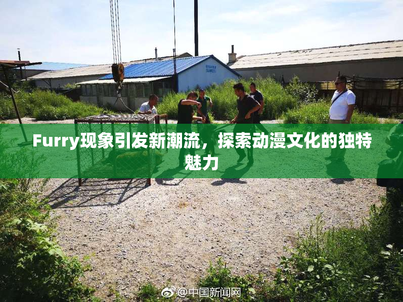 Furry现象引发新潮流，探索动漫文化的独特魅力
