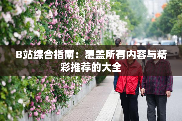 B站综合指南：覆盖所有内容与精彩推荐的大全