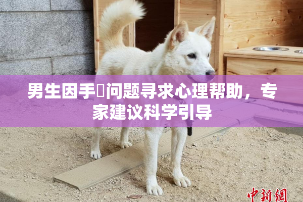 男生因手婬问题寻求心理帮助，专家建议科学引导