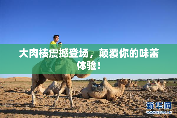 大肉楱震撼登场，颠覆你的味蕾体验！