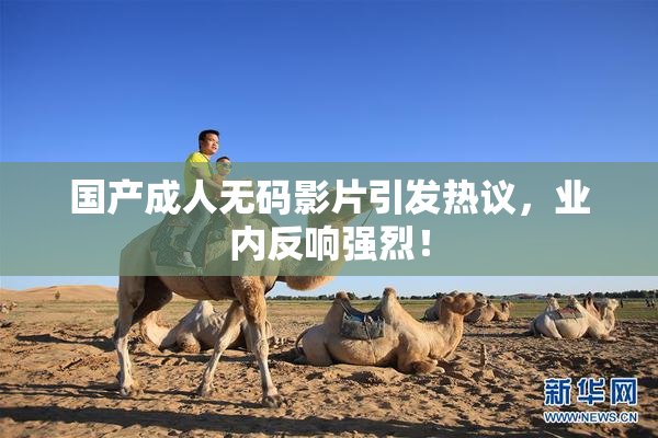 国产成人无码影片引发热议，业内反响强烈！